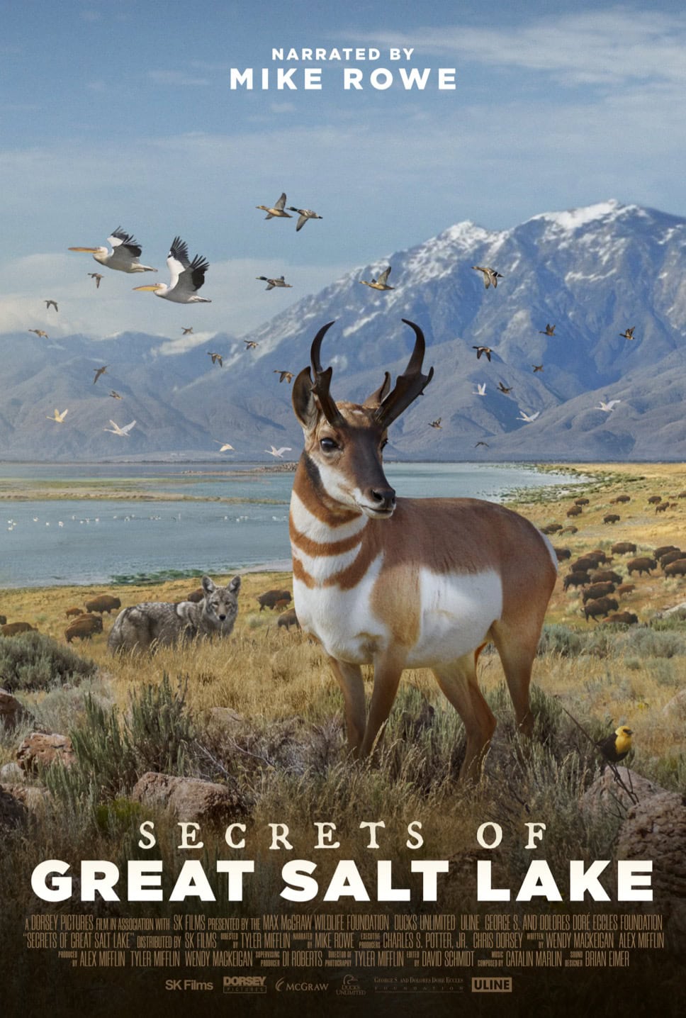 'SECRETS OF THE GREAT SALT LAKE ON IMAX' core news picture